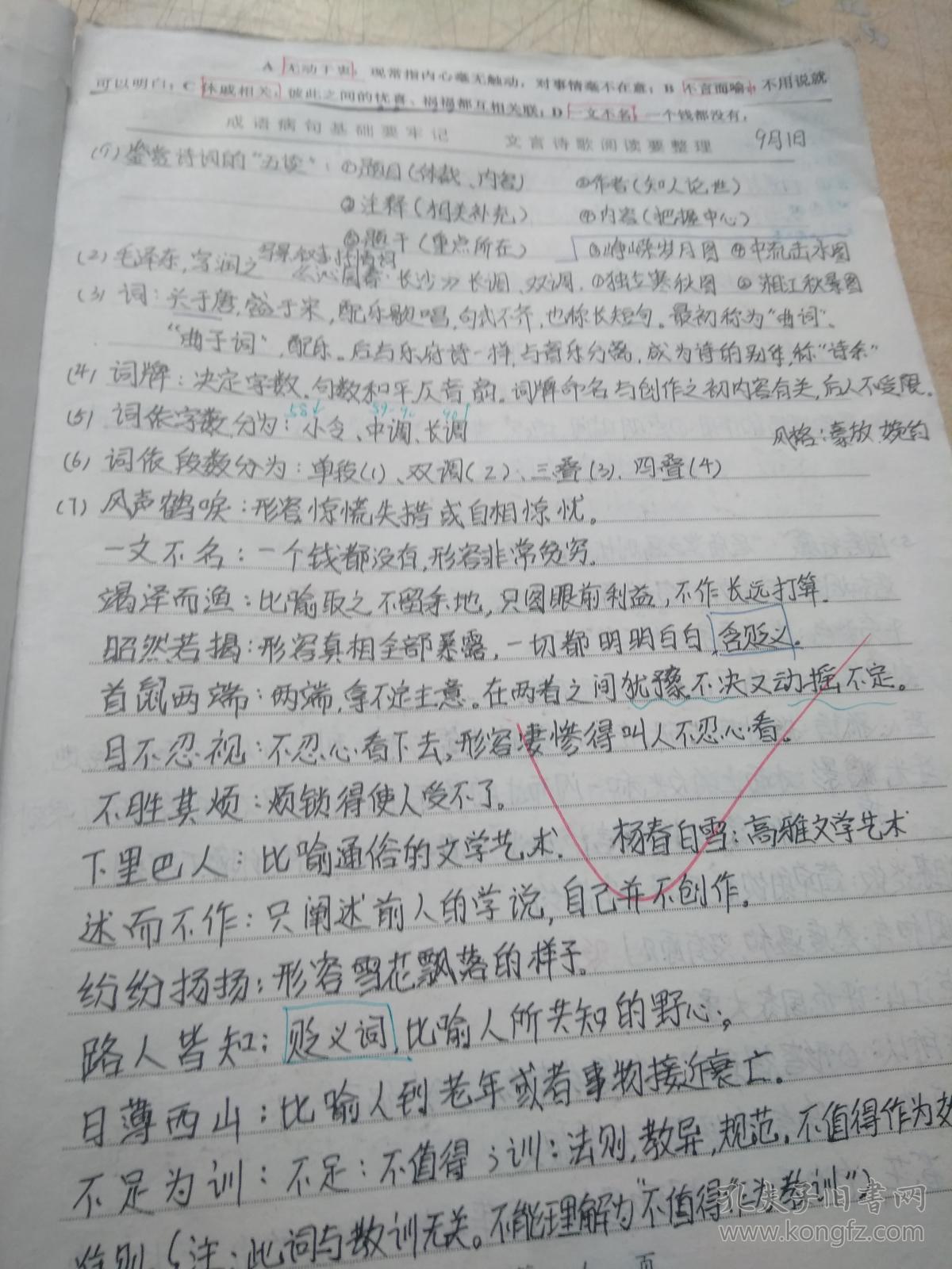 衡水中学学生手写 高三语文积累与反思