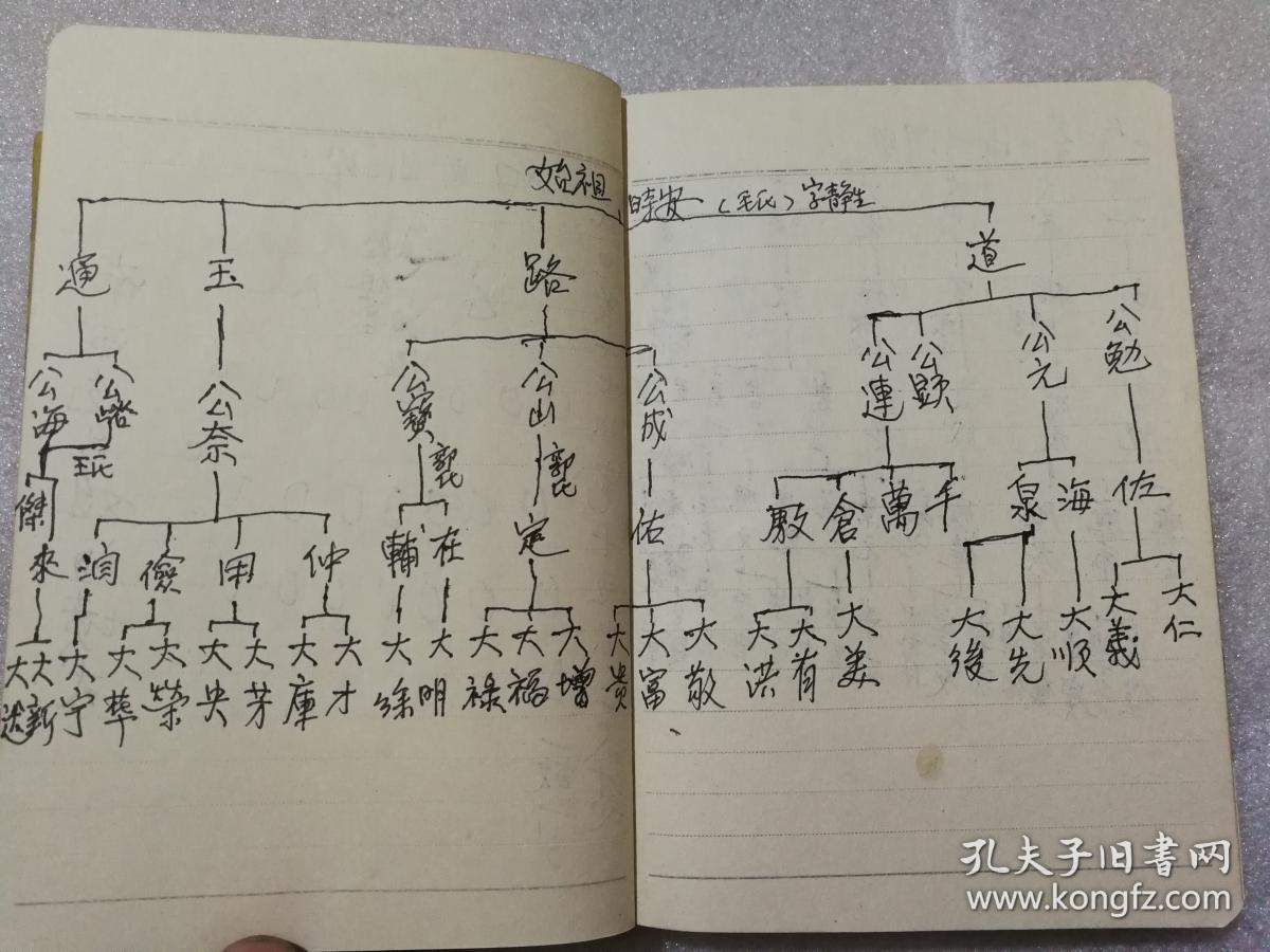 李氏阖族世系家谱 西街股宝藏 明初由山西省文水县李家庄迁山西省原平