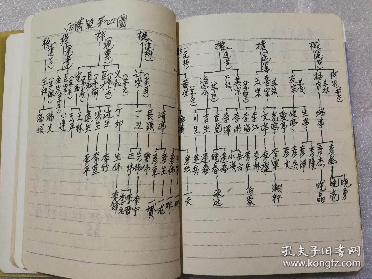 李氏阖族世系家谱 西街股宝藏 明初由山西省文水县李家庄迁山西省原平