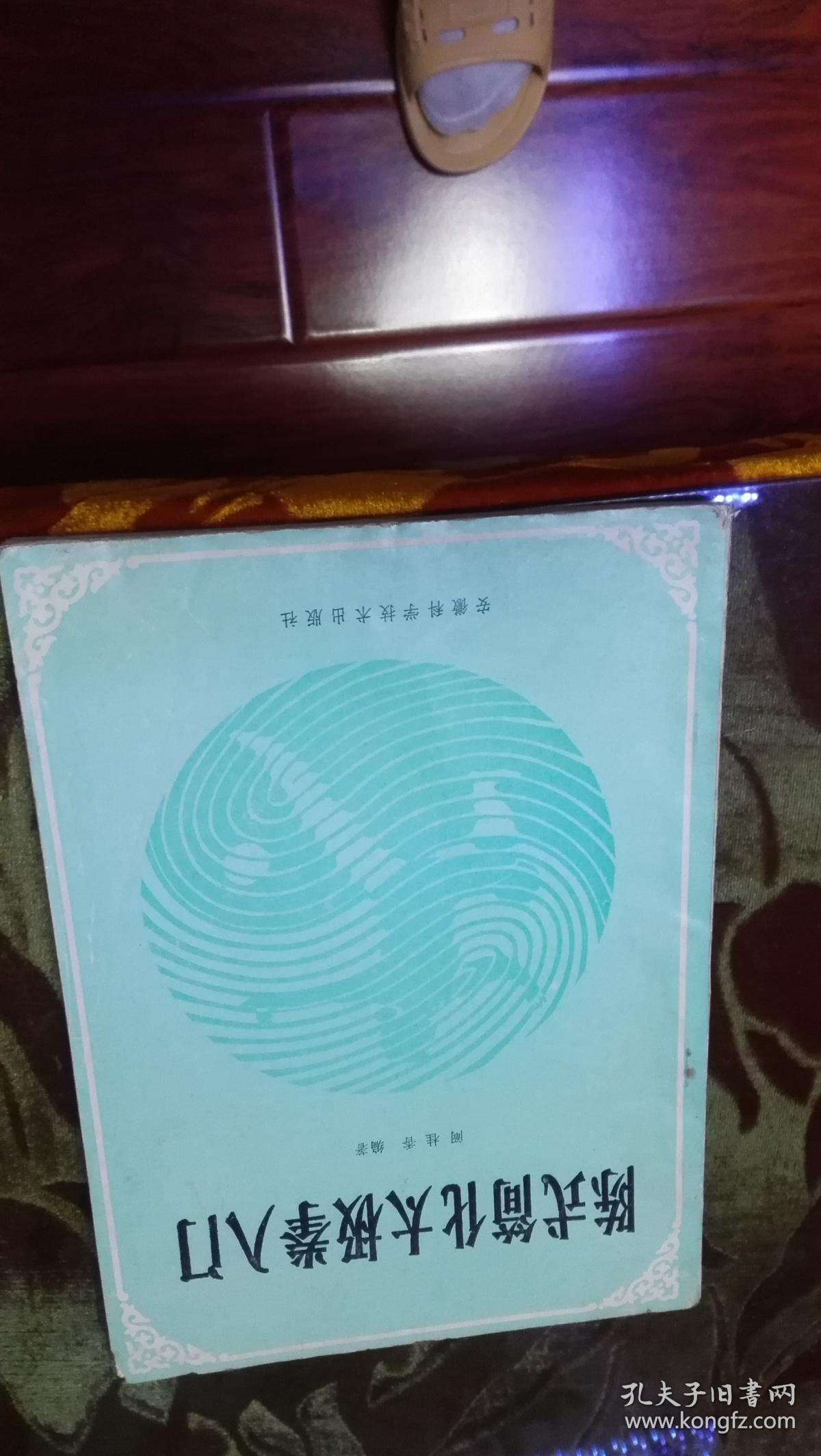 陈式简化太极拳入门