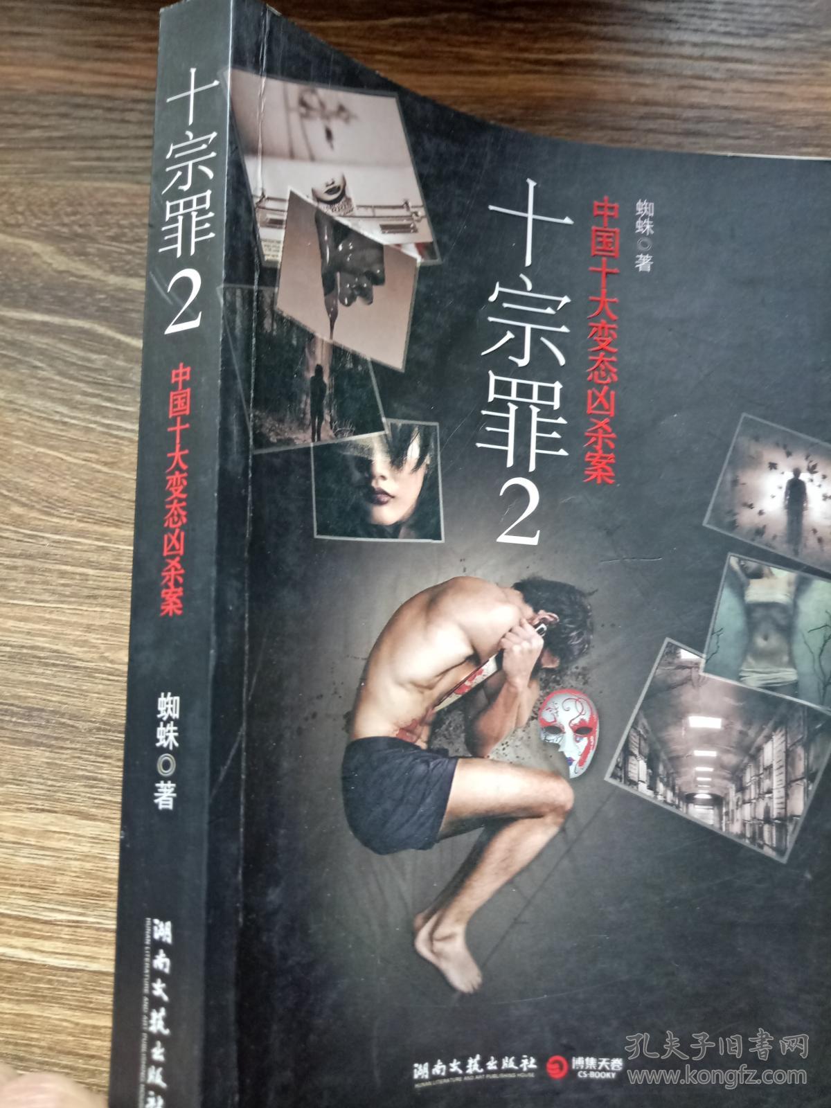 十宗罪2:中国十大恐怖凶杀案