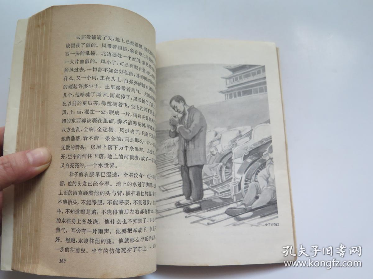 骆驼祥子(插图版)