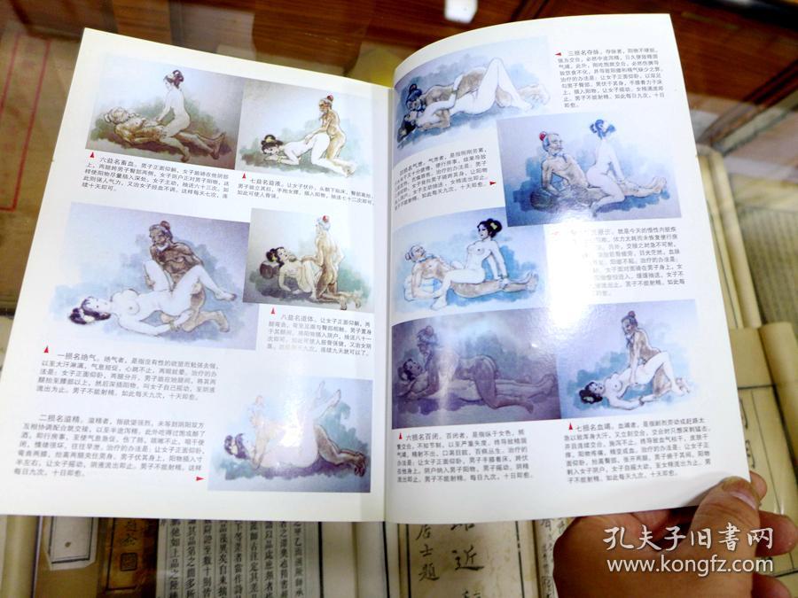 仙山彭祖长寿术(附彭祖房,中十三式养生奥秘图解) 宋学镰/廖志新编著