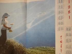 中国青年杂志社 1981年海报 年历