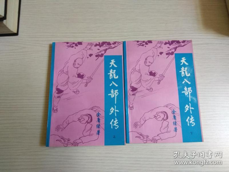 天龙八部外传(上下 全)