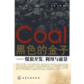黑色的金子：煤炭开发、利用与前景