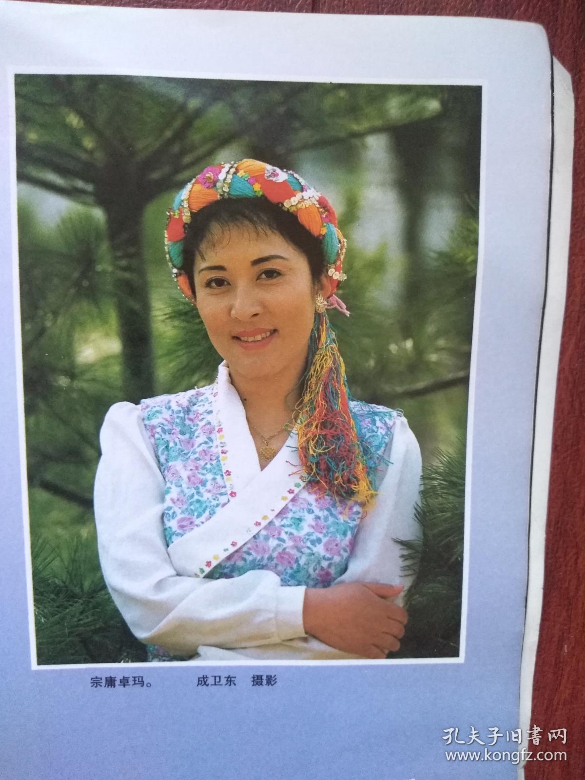 海南文化村,深圳民族之家,布和的黑白画,维西,宗庸卓玛,天鹅与鸳鸯