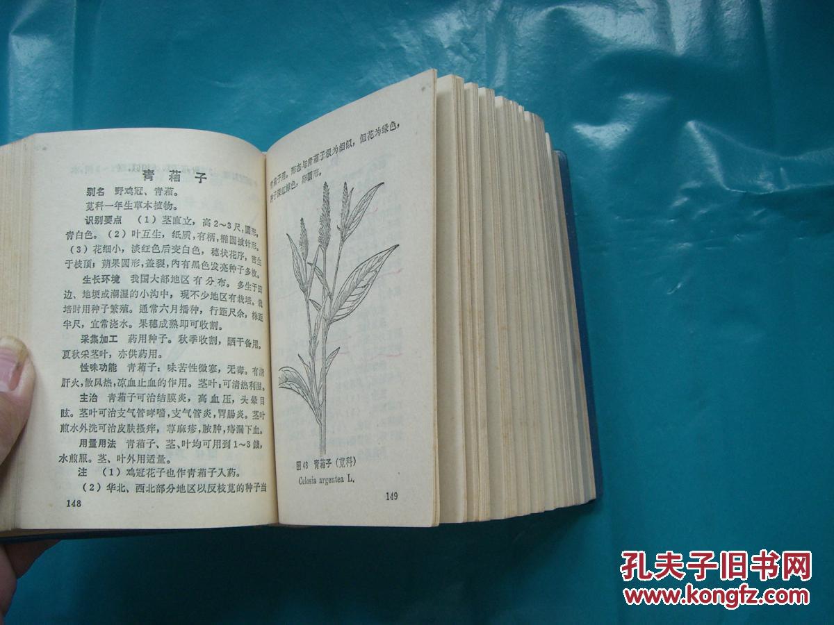 北方常用中草药手册