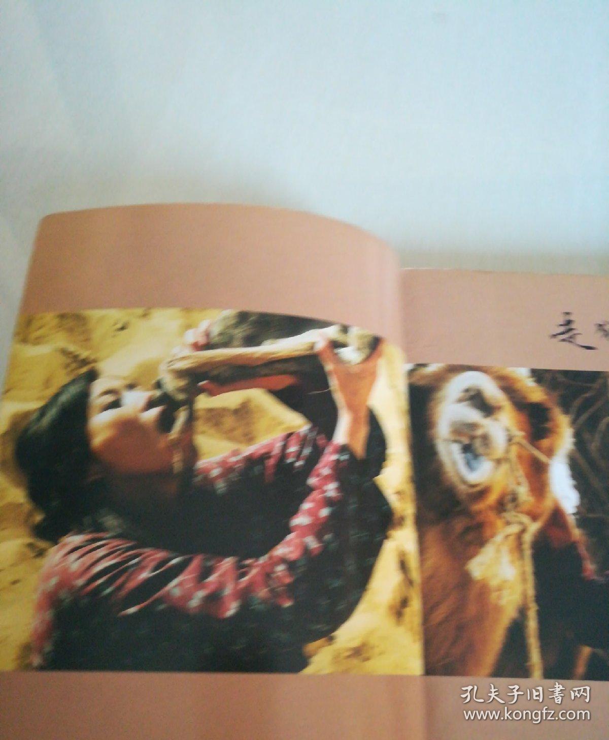 热播电视剧长篇小说《走戈壁的女人》上传了内