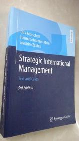 正版 Strategic international management text and cases 3E