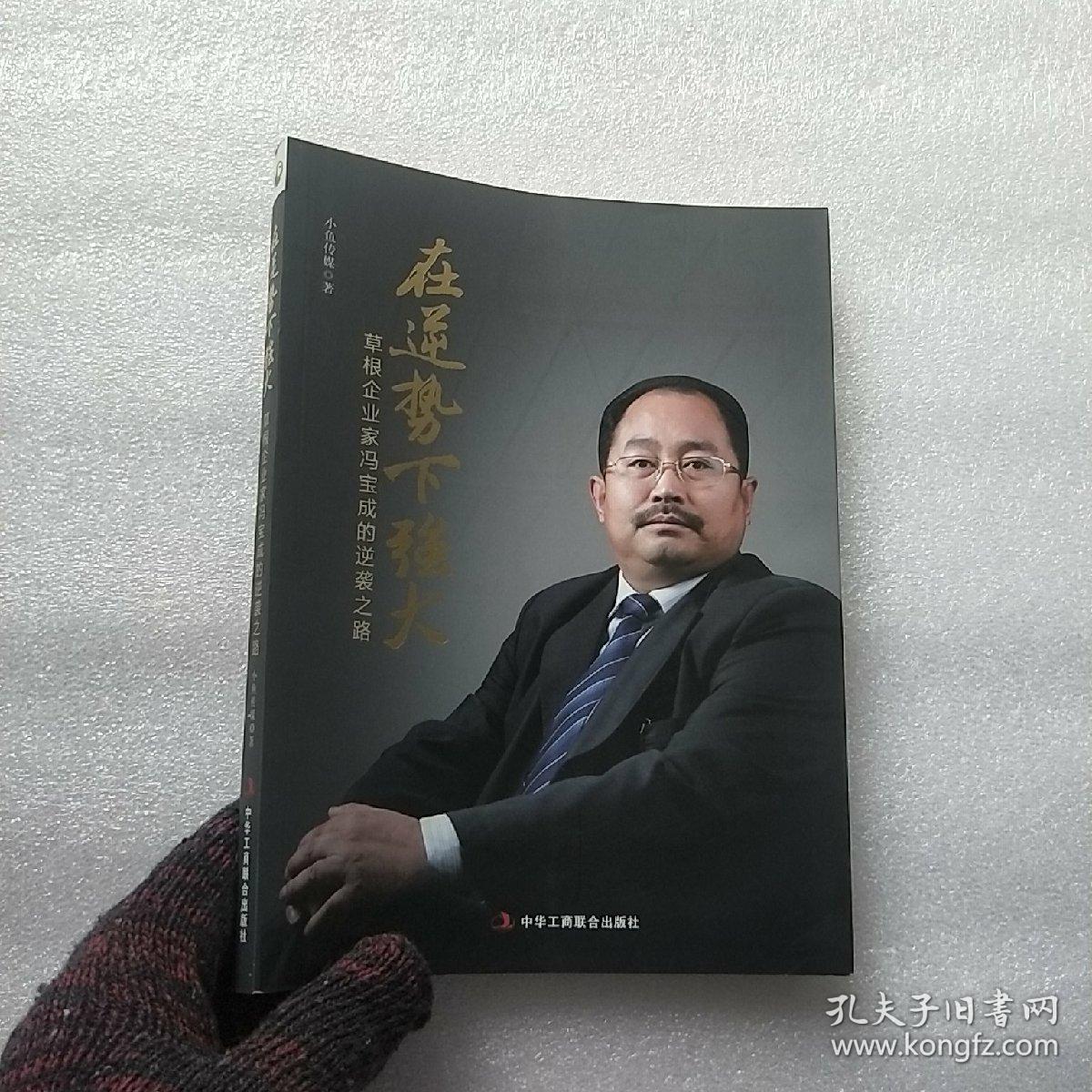 在逆势下强大:草根企业家冯宝成的逆袭之路【内页干净】