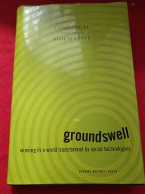 Groundswell: Winning in a World Transformed by Social Technologies 硬精装