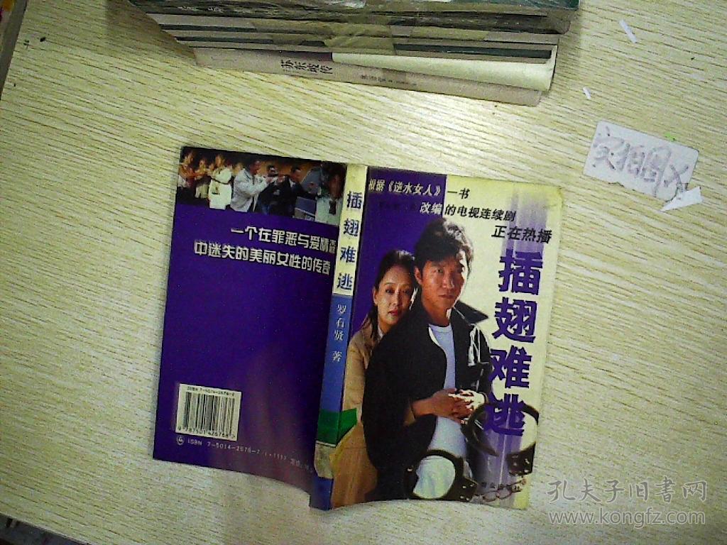 插翅难逃