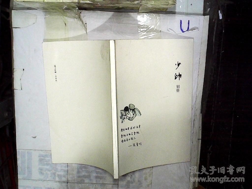 少帅别册
