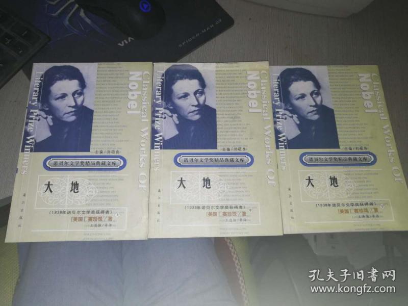 获诺贝尔文学奖精品典藏文库:大地