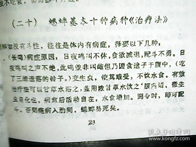 蛐蛐曲谱网_蛐蛐网钢琴谱(5)