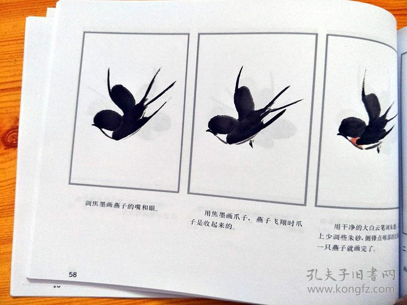 花鸟画技法凌霄藤萝燕子金鱼秋海棠墨竹菊花梅杜丹 跟徐湛学国画学