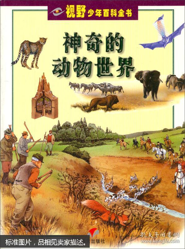 神奇的动物世界