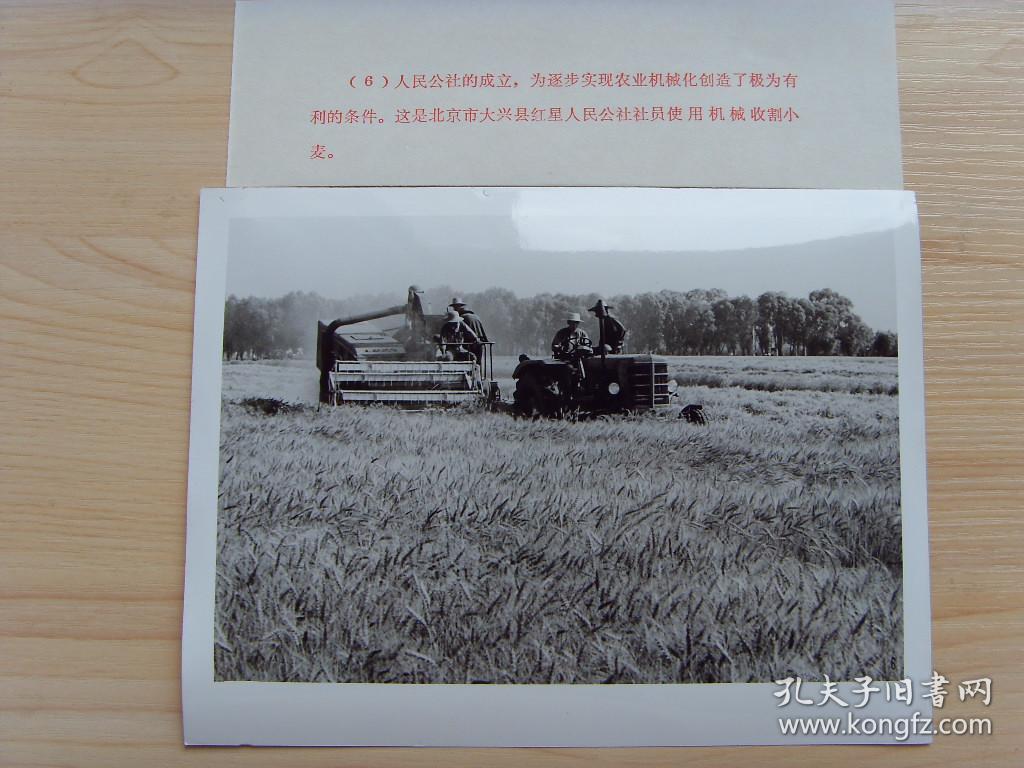 老照片1973年北京大兴县红星公社社员使用机械收割小麦