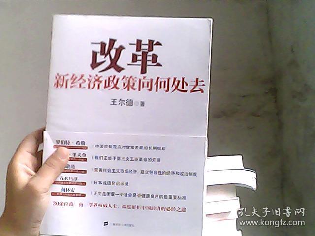改革:新经济政策向何处去