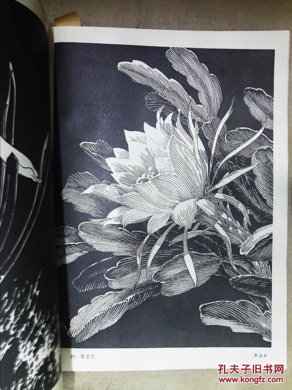 花卉黑白画