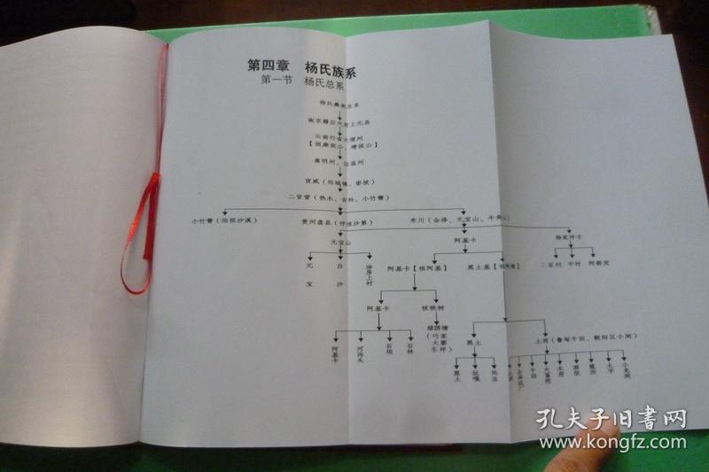 滇东北杨氏彝族族谱