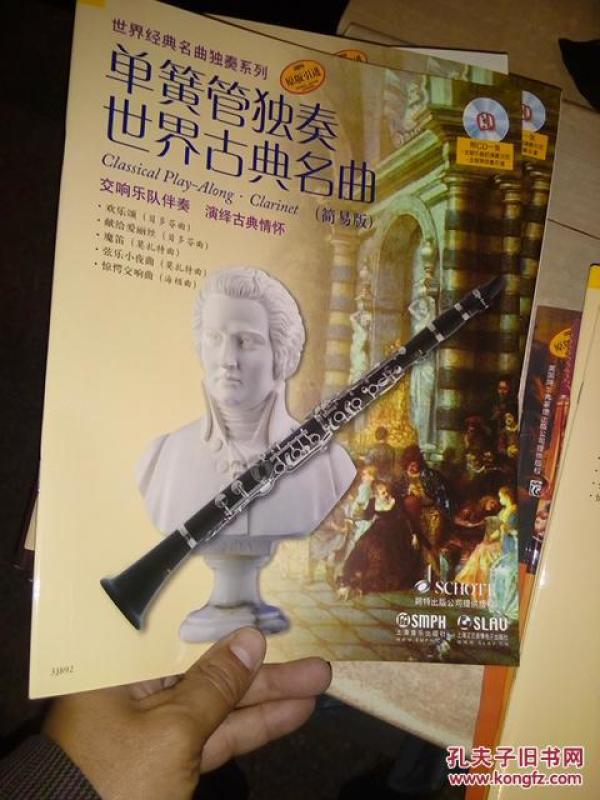 长笛简单的曲子简谱_长笛简谱(3)