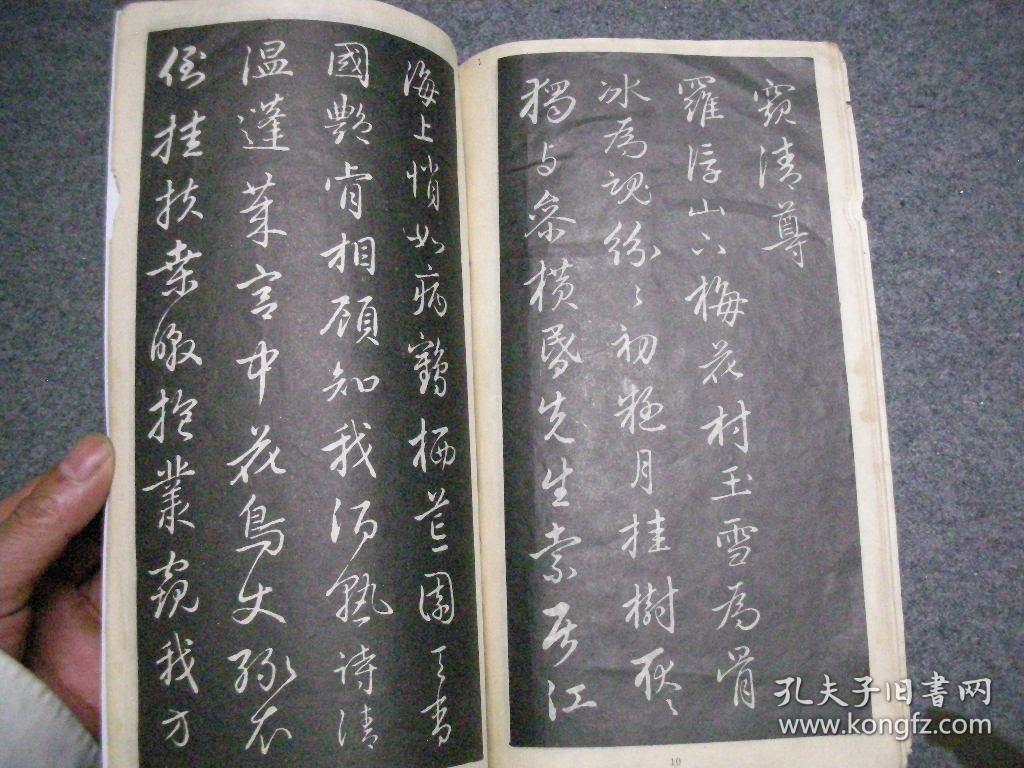 赵孟頫行书梅花诗