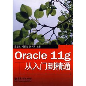 Oracle 11g从入门到精通