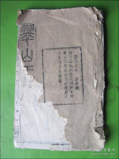 山王寨王氏人口_王氏头像(2)