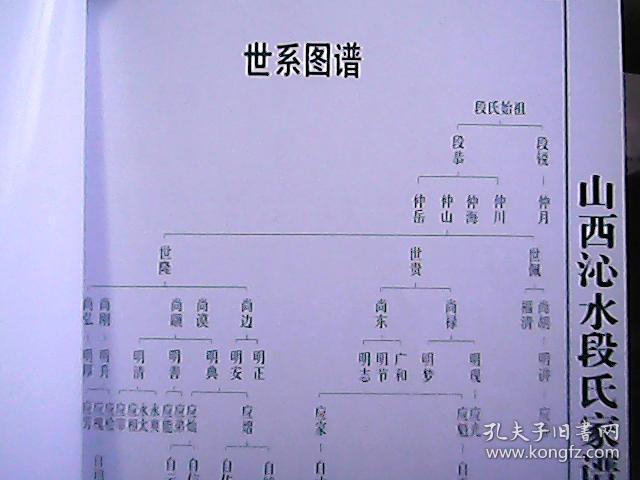 《山西沁水段氏家谱》(印数:300册)