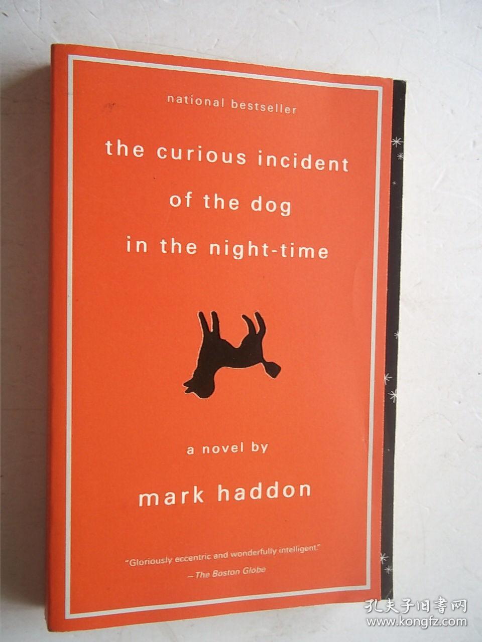 the curious incident of the dog in the night-time