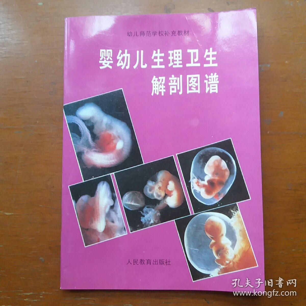 婴幼儿生理卫生解剖图谱
