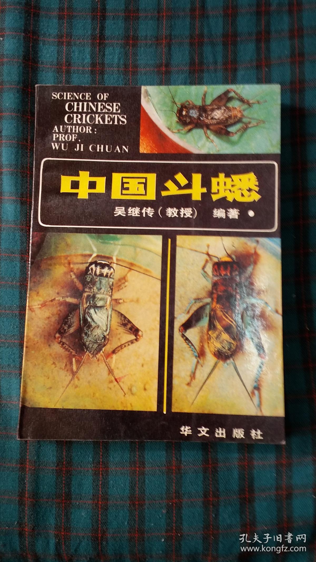 中国斗蟀_吴继传(教授)编著_孔夫子旧书网