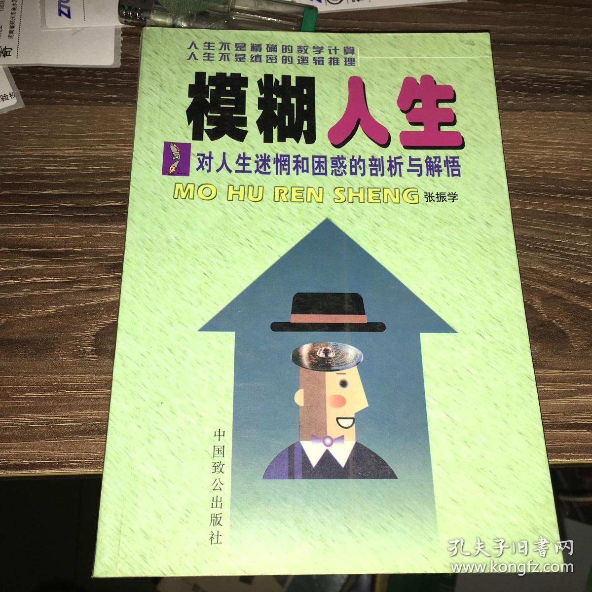 模糊人生--对人生迷惘和困惑的剖析与解悟