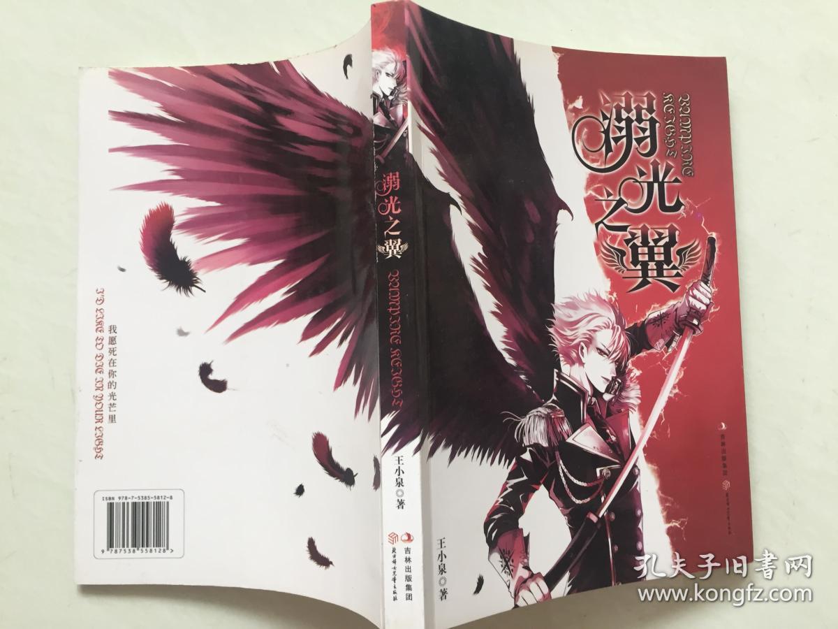 溺光之翼
