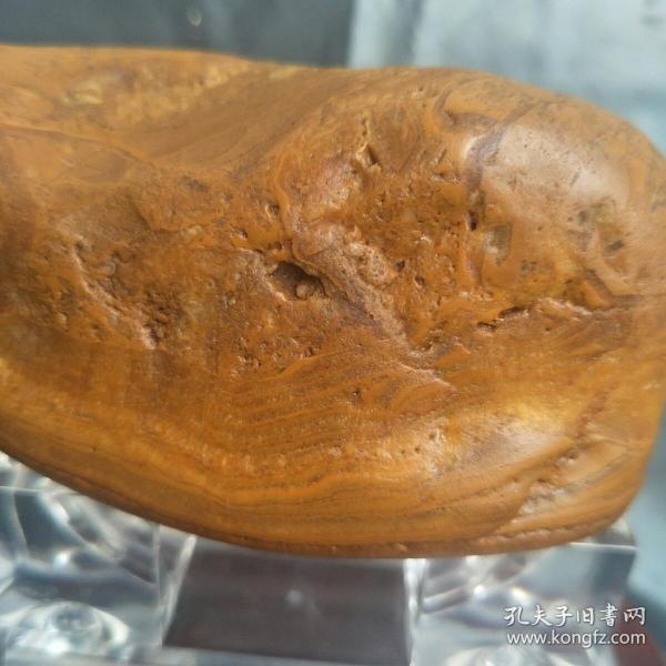 天然水冲黄蜡原石观赏石奇石手玩《有形的晶蜡石皮蜡》小摆