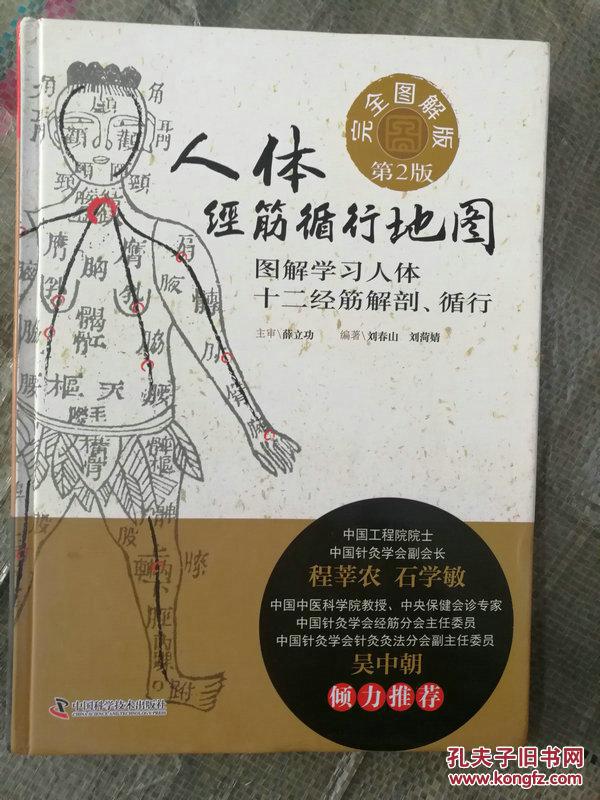 人体经筋循行地图