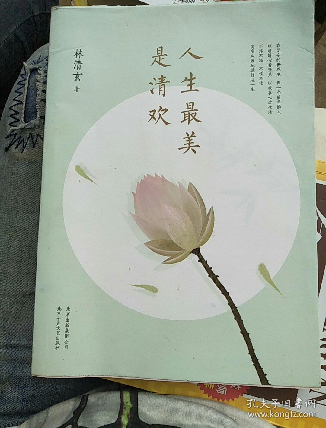 人生最美是清欢:林清玄经典散文集,执笔45周年