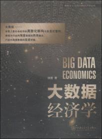 离散主义与后古典经济学丛书：大数据经济学