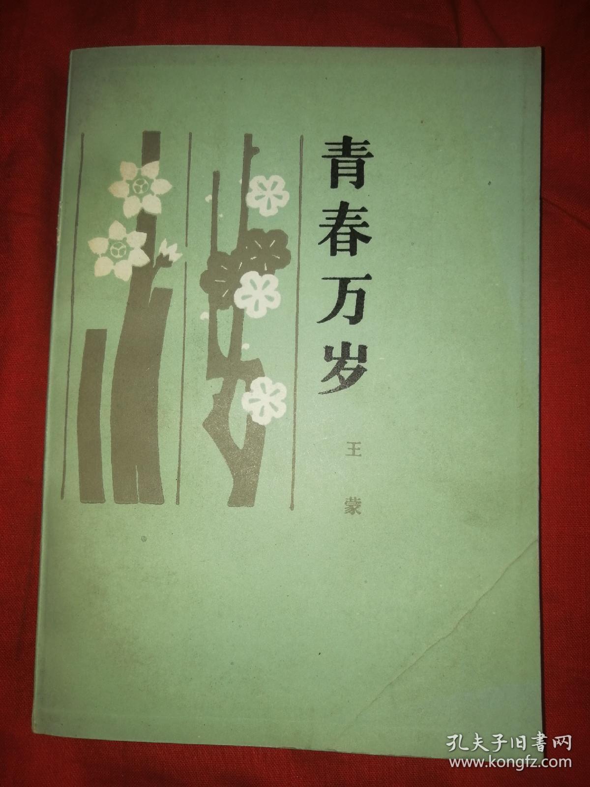 青春万岁_王蒙_孔夫子旧书网