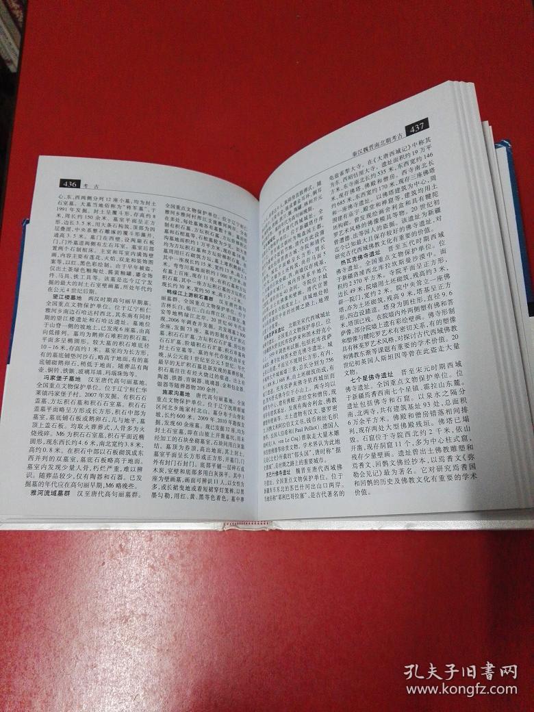 大辞海:文物考古卷