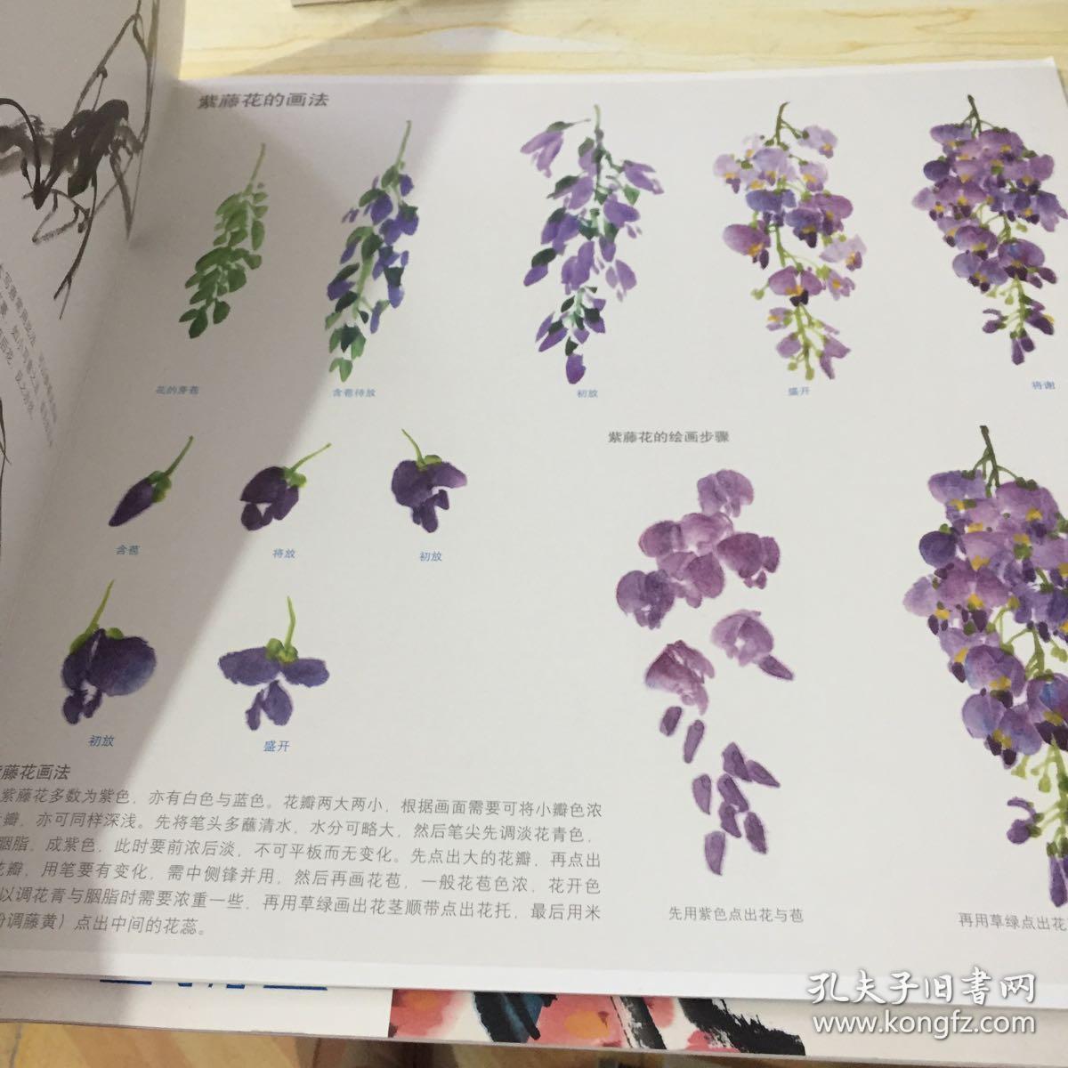 教学对话学国画8紫藤