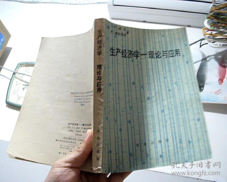 生产总量 经济学理论_微观经济学理论框架图