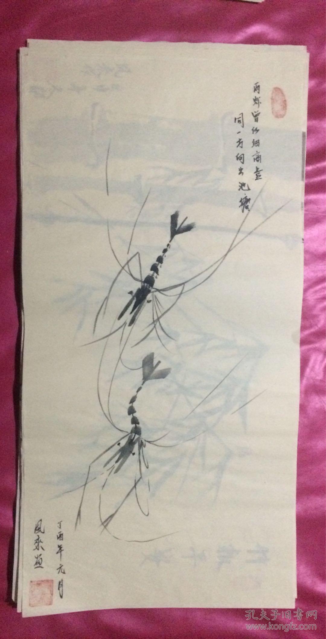 国画478两虾