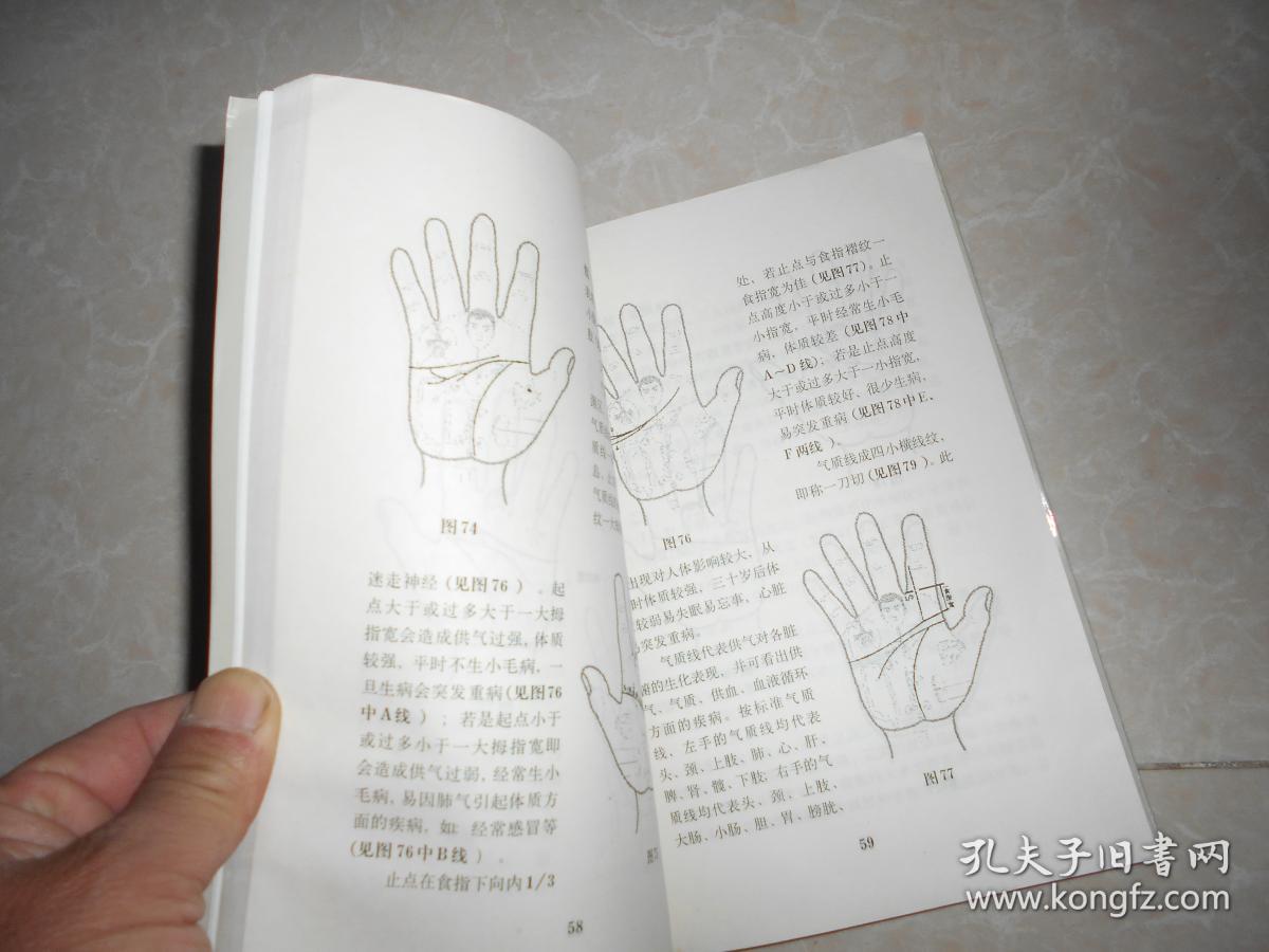 手诊图典_泽龙 著_孔夫子旧书网