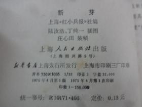 新芽简谱_薰衣草幼苗新芽图片