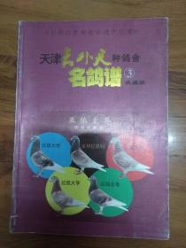 天外天曲谱_利群天外天