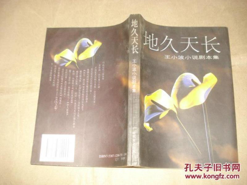 地久天长【王小波著】_王小波著