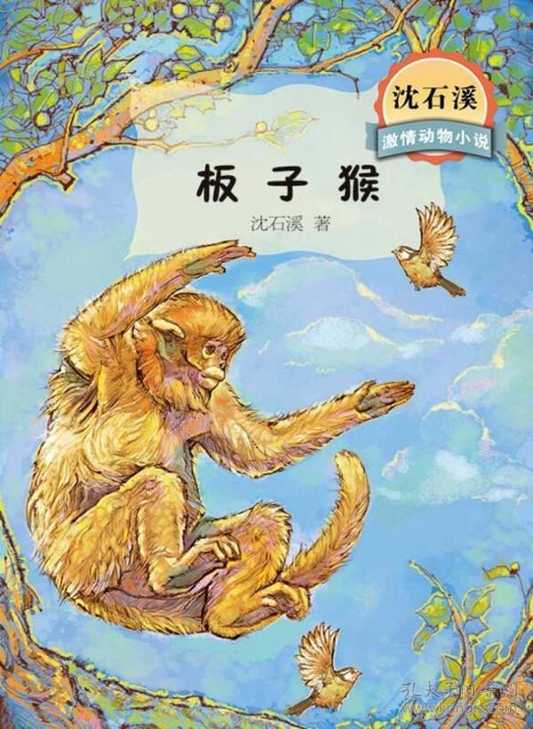 沈石溪激情动物小说 板子猴